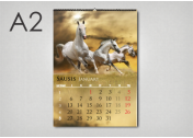 Sieninis kalendorius A2 formatu 12 lap. + viršelis / K6.01.12